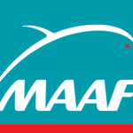 Logo_MAAF_2007.svg